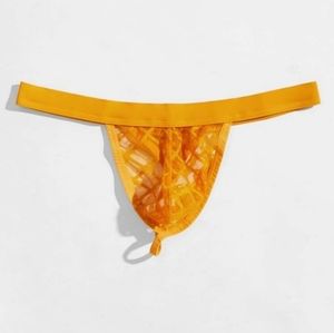 🦩Men's Sheer Plaid brief thong  XL